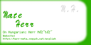 mate herr business card